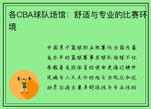 各CBA球队场馆：舒适与专业的比赛环境