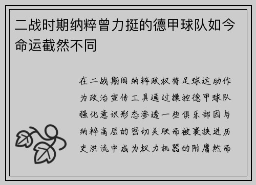 二战时期纳粹曾力挺的德甲球队如今命运截然不同